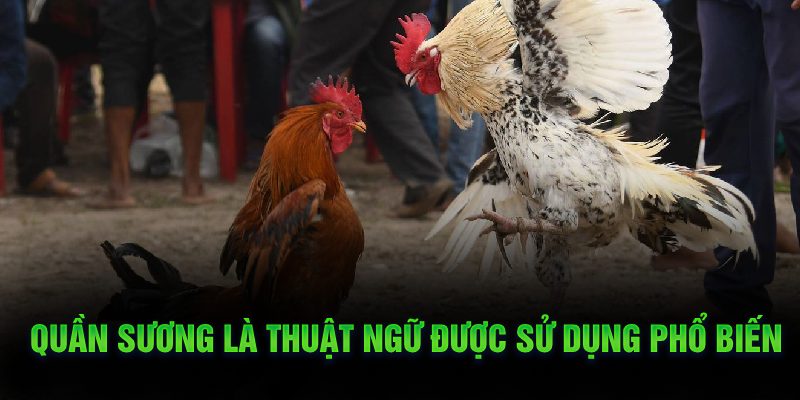 Quần sương là thuật ngữ được sử dụng phổ biến